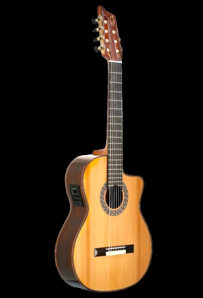 Seven-string guitar held by Roberto "ATTO" Castro